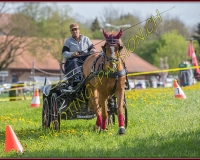 1POSIEUX 0348